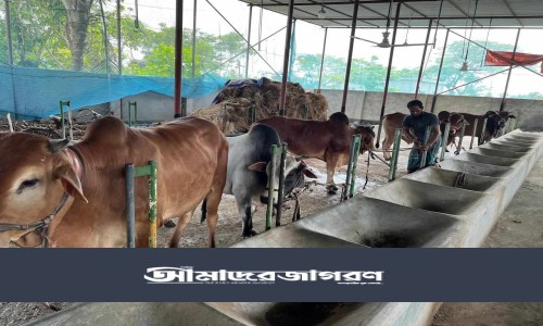 লালমনিরহাট